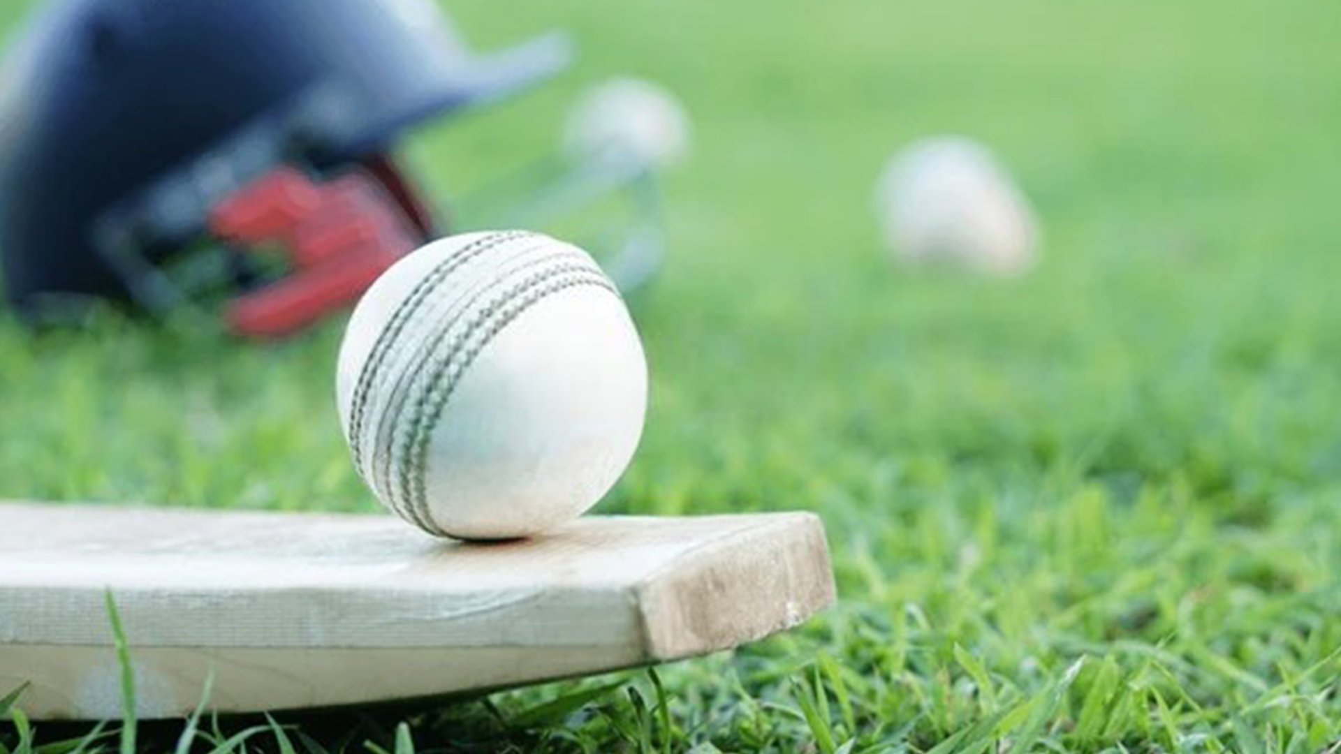 Online Cricket Satta ID